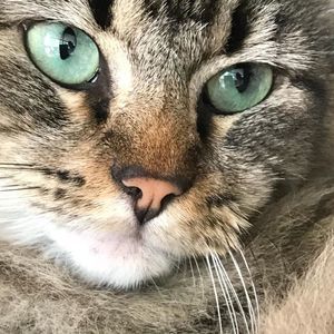 Meet your Posher, Marie